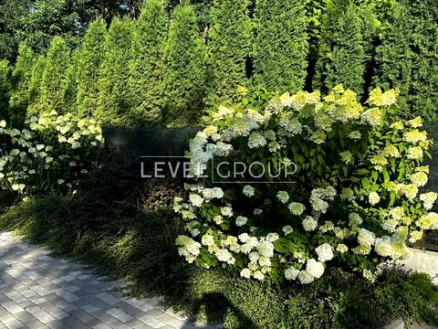 дом по адресу  пер., 38