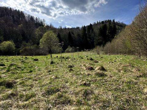 ділянка за адресою 