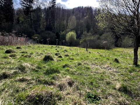 ділянка за адресою 