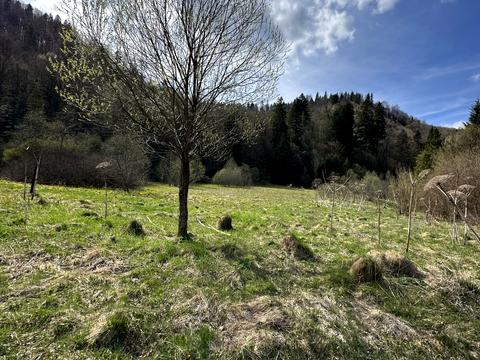 ділянка за адресою 