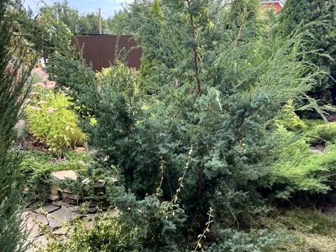 дом по адресу Гончара, 15