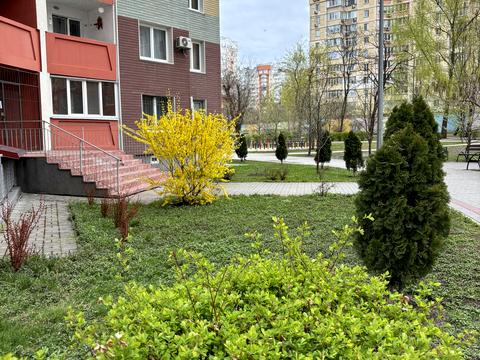 квартира по адресу Юлии Здановской ул. (Ломоносова), 81-Б