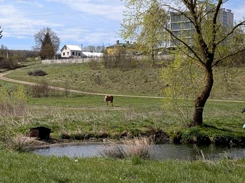 ділянка за адресою 