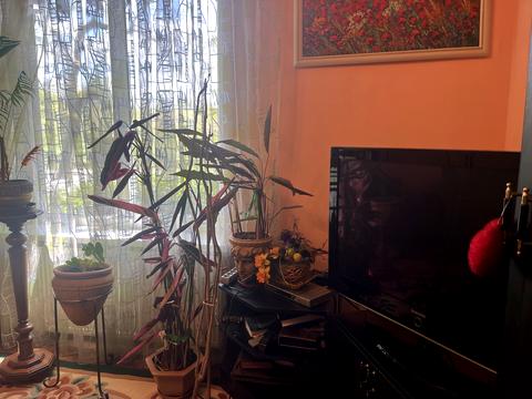 квартира за адресою Академіка Шпеника вул. (Івана Анкудінова), 21