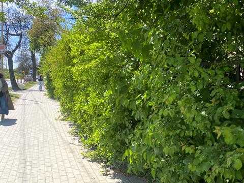 квартира за адресою Академіка Шпеника вул. (Івана Анкудінова), 21