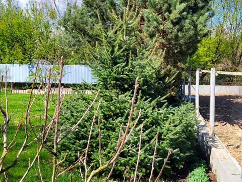 будинок за адресою Ірпінська