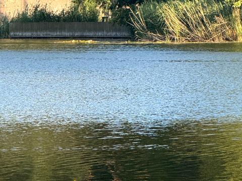 будинок за адресою Ентузіастів