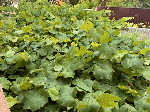 будинок за адресою Ентузіастів