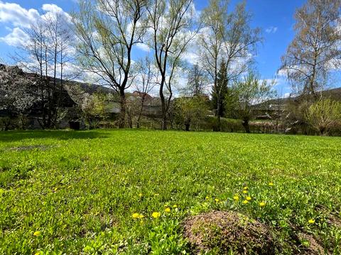 участок по адресу Шевченка