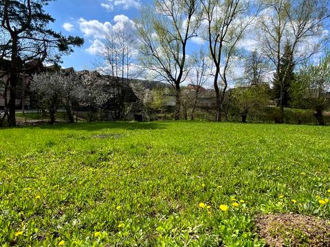 участок по адресу Шевченка