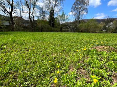 участок по адресу Шевченка