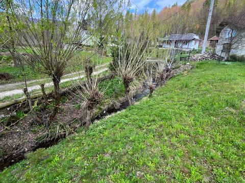 участок по адресу Шевченка