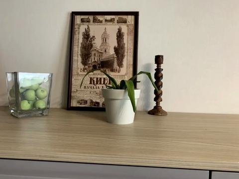 квартира по адресу Митрополита Василия Липковского ул. (Урицкого), 33-А