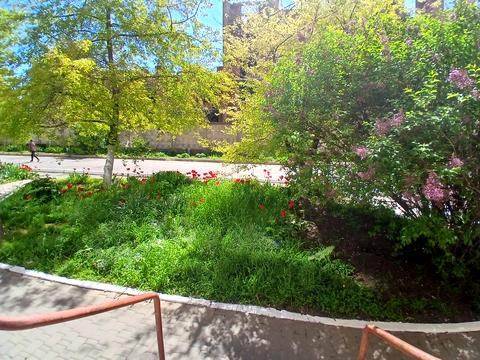 квартира за адресою Одеська, 9