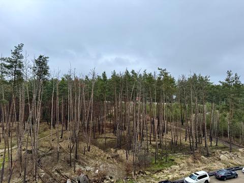 квартира по адресу Университетская ул., (Будинок 1)