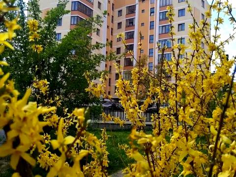 квартира по адресу Городоцкая ул., 245а