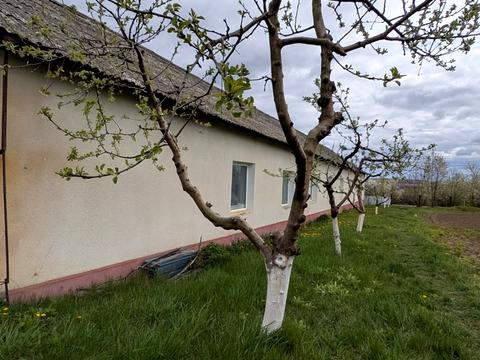 комерційна за адресою Захисників України, 1В