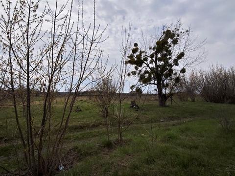 участок по адресу Житомирська траса