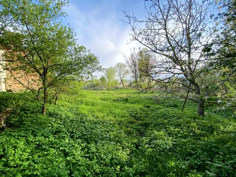 будинок за адресою Марківщина