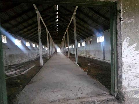 коммерческая по адресу  ул., 272