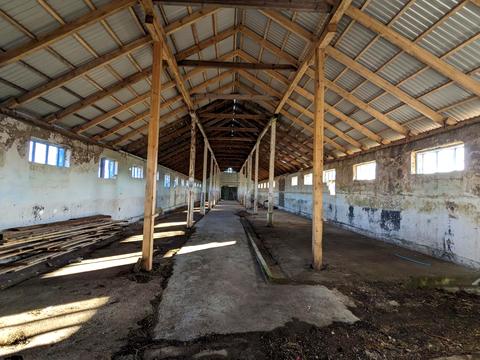 коммерческая по адресу  ул., 272