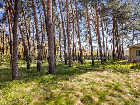 коммерческая по адресу Кичеївська, 6