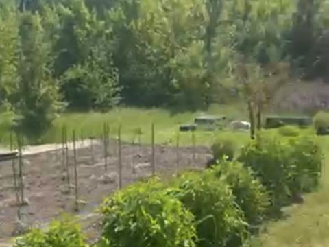 участок по адресу 