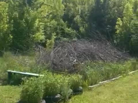 участок по адресу 