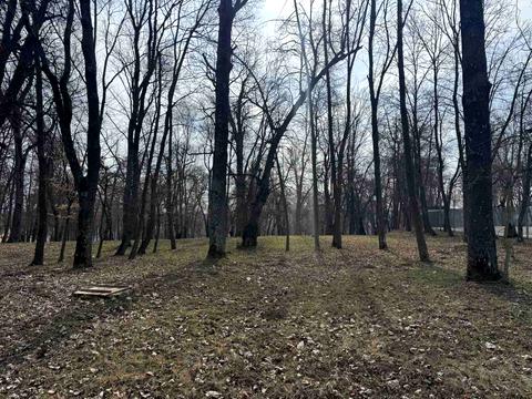комерційна за адресою Д. Вишнівецького, 5
