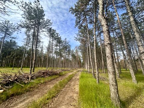 ділянка за адресою Дачная