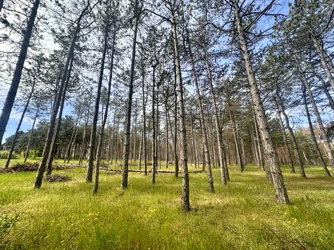 ділянка за адресою Дачная