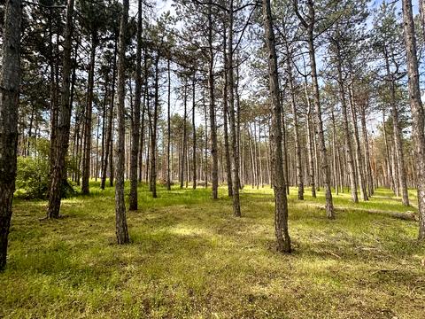 ділянка за адресою Дачная