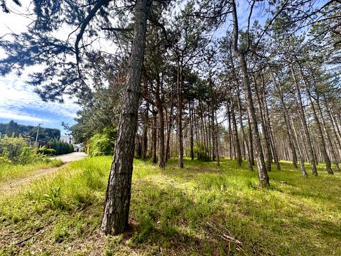 ділянка за адресою Дачная