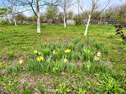 будинок за адресою Ватутіна, 27