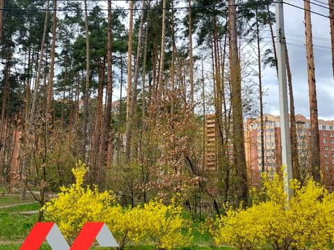 квартира по адресу Лесная ул., 4-Л/2