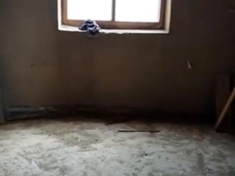 будинок за адресою Лелітська, 11