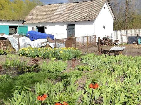 будинок за адресою Кузенного