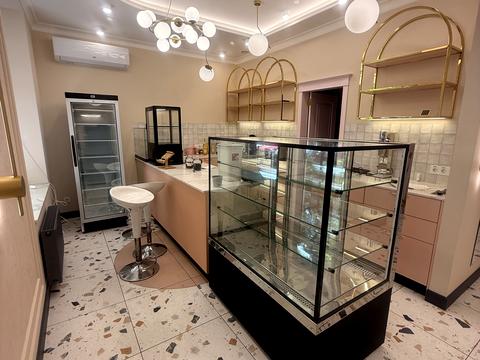 комерційна за адресою Всеволода Змієнка вул., 6