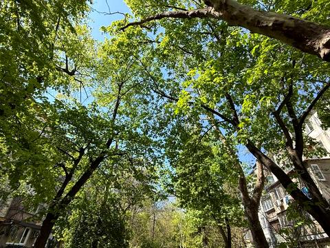 квартира за адресою Люстдорфська дорога вул., 54б
