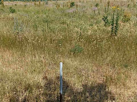 участок по адресу Ольвіопольська