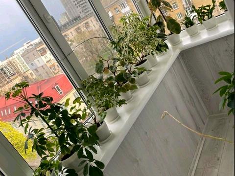 квартира по адресу Харьковское шоссе, 9