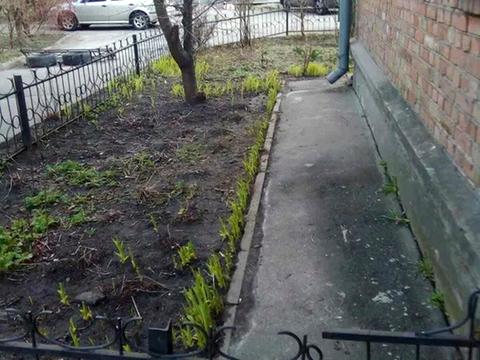 квартира по адресу Леси Украинки бульв., 15