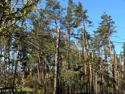 квартира за адресою Дахнівська вул., 1