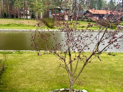 дом по адресу Сагайдачного, 82-Д