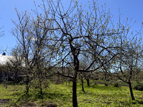 будинок за адресою Запрудний пров., 8