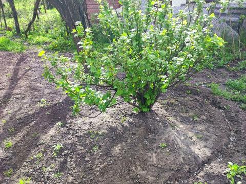 будинок за адресою Миколи Трублаїні вул., 28