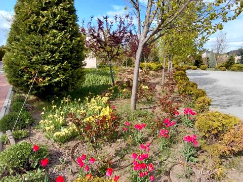 будинок за адресою Центральна вул.