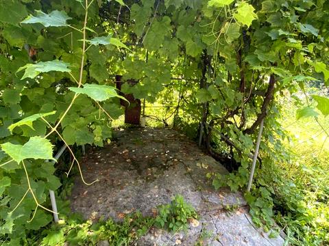 дом по адресу Підлісна ул., 199