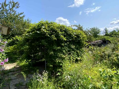 дом по адресу Підлісна ул., 199