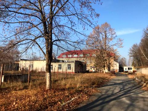 комерційна за адресою шевченка, 87